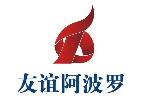 湖南友誼阿波羅商業(yè)股份