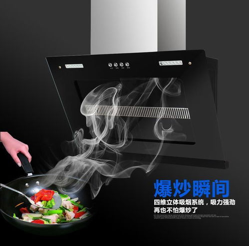 廣州櫻花時代二號側(cè)吸式抽油煙機(jī)會銷水機(jī)贈品圖片,廣州櫻花時代二號側(cè)吸式抽油煙機(jī)會銷水機(jī)贈品高清圖片 深圳市龍華新區(qū)智首電器廠,